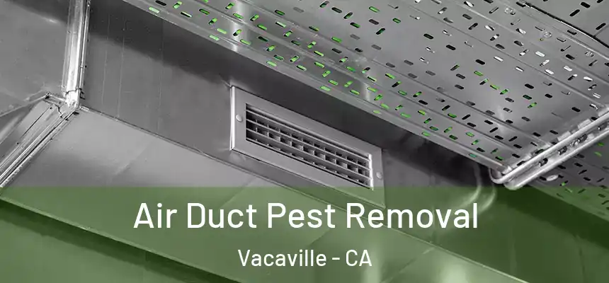  Air Duct Pest Removal Vacaville - CA