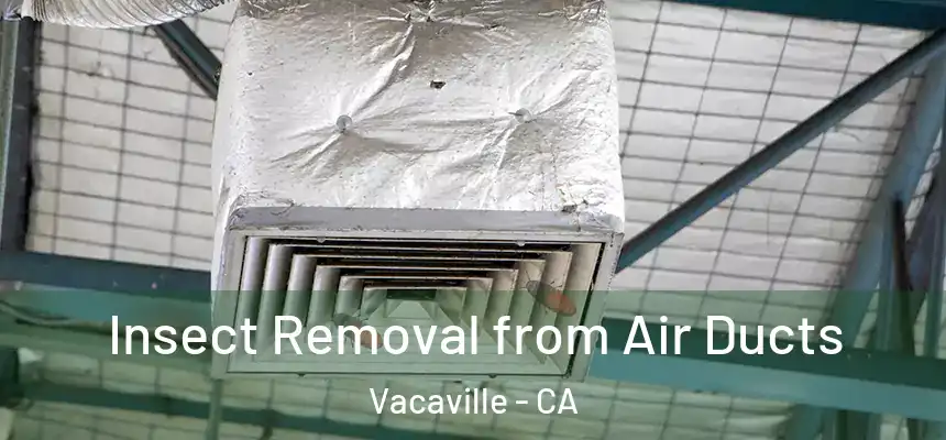 Insect Removal from Air Ducts Vacaville - CA