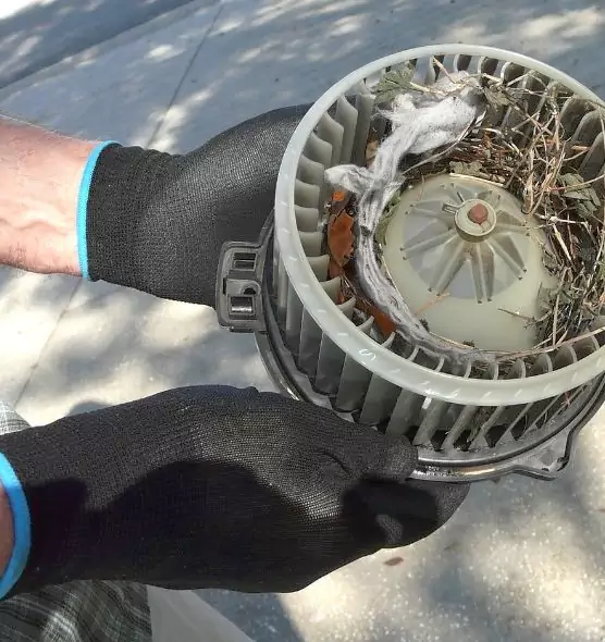 About Air Duct Mice Removal in Vacaville, CA