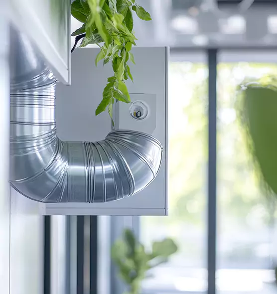 Professional Eco-Safe Dryer Vent Cleaning in Vacaville, CA