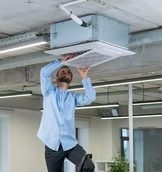 Advanced Rodent Droppings In Vents in Vacaville, CA
