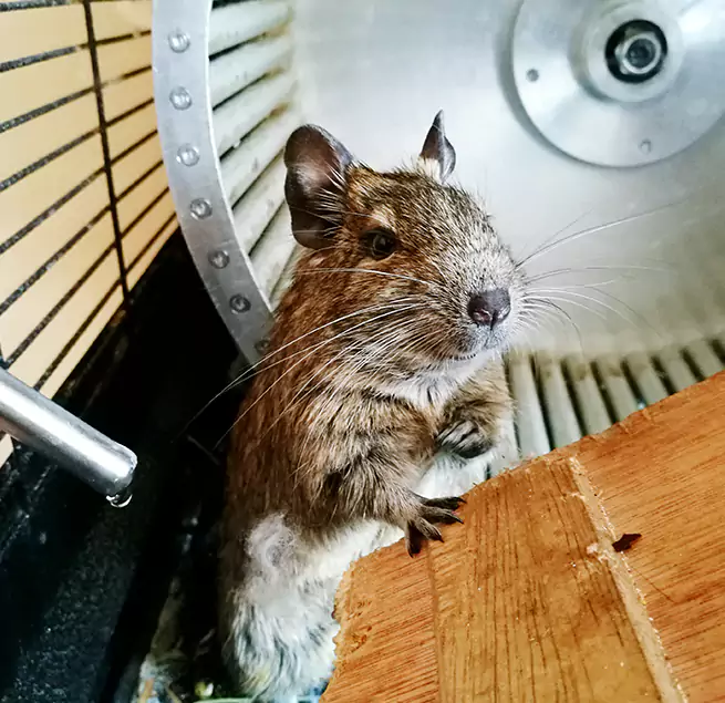 Why Homeowners & Businesses Trust Us Vacaville, CA