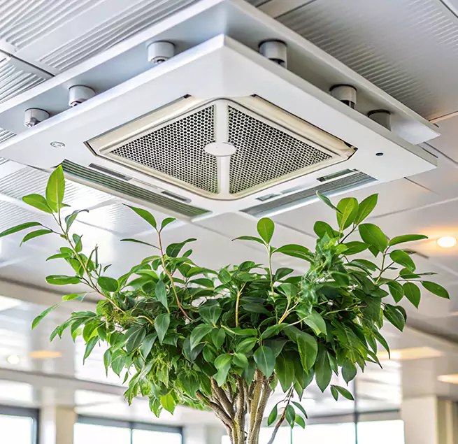 Why Homeowners & Businesses Trust Us in Vacaville, CA?