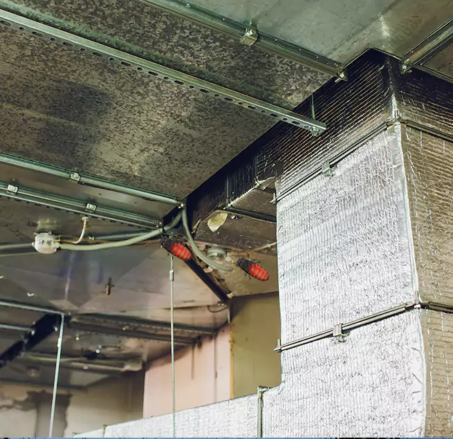 Why Homeowners & Businesses Trust Us Vacaville, CA?