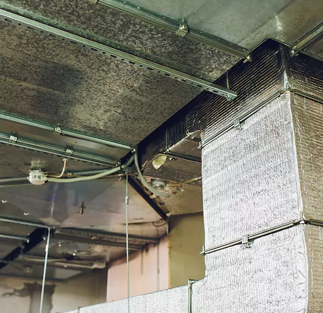 Why Homeowners & Businesses Trust Us in Vacaville, CA?